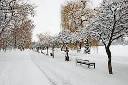Фото з мережі