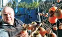 Хурму гартував холодом