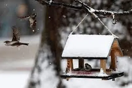 Фото - REUTERS