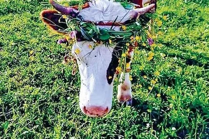 Фото Міська БАТЯРА