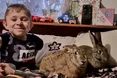 Перебирають його біль на себе…