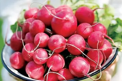 Фото з відкритих джерел