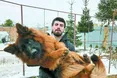 Повернення Бантика