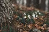 Прогноз погоди на 24 квітня 2023 року