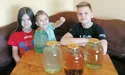 За добу клен може «наплакати» три відра своїх «сліз»...