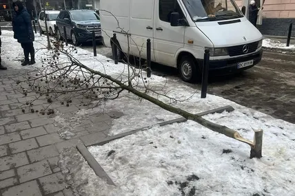 Фото: Олександра Сладкова