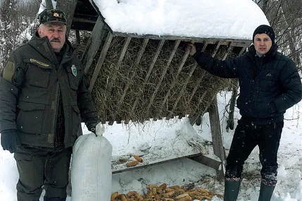 На півтора тижня козулі матимуть сіна, вівса, кукурудзи… Фото Романа Гадуп'яка Тернопільська область