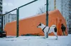 «Тепло з Польщі для Києва»: за кілька годин зібрано мільйон злотих на генератори