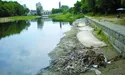 Сморід аж очі виїдає...
