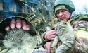 І тварини стають вимушеними біженцями...