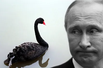 Колаж: Укрінформ
