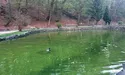 Як я гуляла на Погулянці…