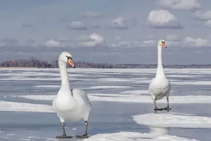 Фото Шацького національного природного парку
