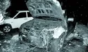 «Закарпатський Робін Гуд» під вартою?
