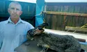 Понад 20 років плекає кролів-велетнів