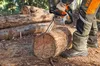Нова серія побутових бензопил STIHL: потужність та зручність у щоденному використанні