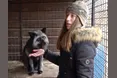Підібрала безпритульних беззахисних лисиць…