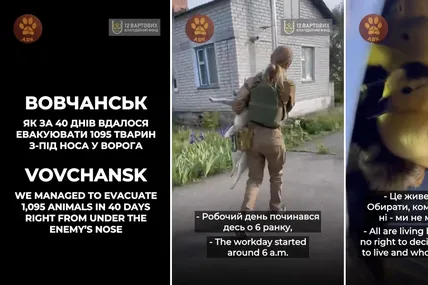 Фото: ГО “Порятунок тварин Харків”