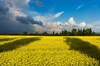 Погода 29 серпня