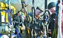Дешеві буряки, дорогі поросята і пишний хліб