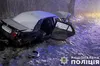 У Новому Роздолі поліцейські затримали водія, який у стані алкогольного сп’яніння здійснив ДТП