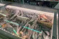 Скумбрія за 8 гривень: чи можна таку знайти на ринку у Львові?