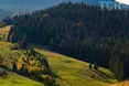Озеро в Карпатах, якого немає на картах: що про нього відомо