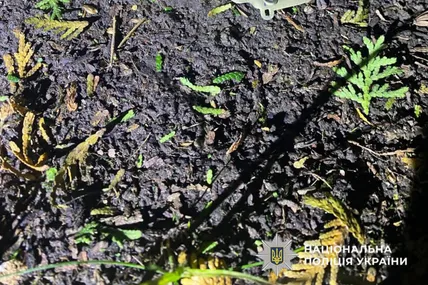 Фото: поліція Львівської області