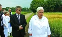 Щоб добре родили зернові, аграріям треба ще й худобу вирощувати...
