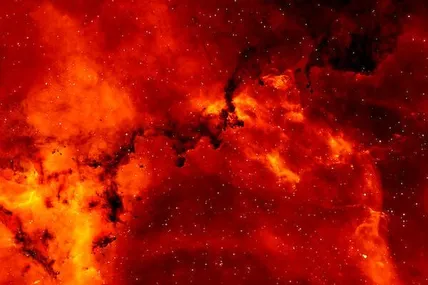 Фото: Фото з сайту pexels