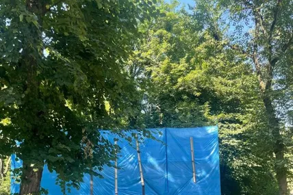 Фото Юлії Підлужної