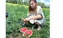 Висадила на Прикарпатті 10 сортів кавунів