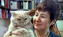 Котик, який піднімав настрій мільйонам