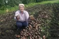 “Такої бульби у нас давно не було...”