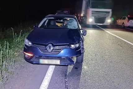 13.08.2026, 12:45				


									На Львівщині внаслідок наїзду автомобіля загинув пішохід: поліція розслідує обставини ДТП							

										У Шептицькому районі на трасі «Львів-Луцьк» увечері 12 серпня 2026 року сталася смертельна дорожньо-трансп