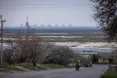 МАГАТЕ зафіксувало обстріли поблизу Запорізької АЕС