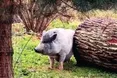 Фрося гуляє - на ЗСУ заробляє…