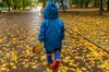 Прогноз погоди 20 вересня