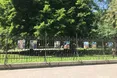 Крик душі Катерини Васечко