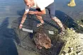 Із калюжі — на чисті води!