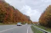 На Львівщині поліцейські розшукують водія вантажівки, який після ДТП з травмованим втік з місця події