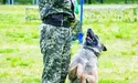 «З готовністю прийму кулю за свого господаря...»