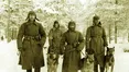 У війни – собаче обличчя