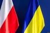 Пошук жертв трагедії 1944 року: на Львівщині стартує українсько-польська експедиція