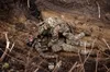 Чотирьох бойовиків, які воювали за рф проти України, засудили до 15 років тюрми