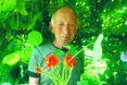 Настурція у Липицях – ще й оберіг...