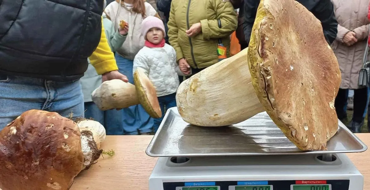 Велетень з-під села Майдану важив майже два кілограми