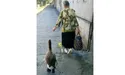 По гарячому асфальту гусак ходить у… черевичках