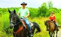 День у стилі «вестерн», ніч у геокуполі