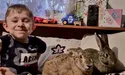 Перебирають його біль на себе…